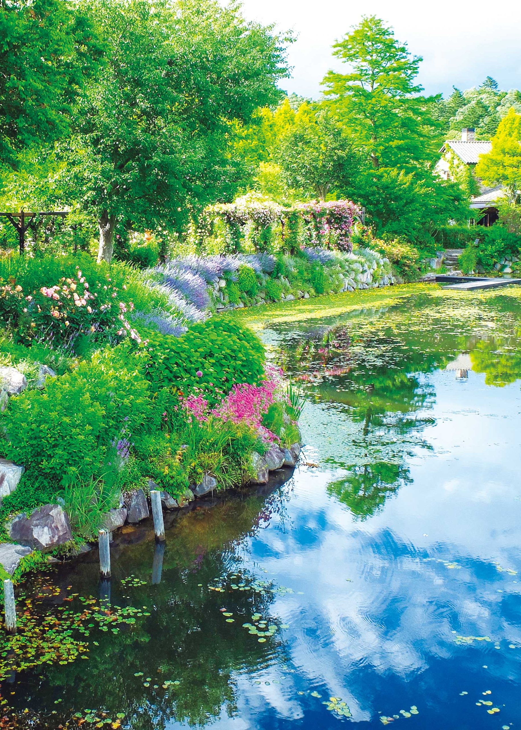 自然豊かな庭園で非日常のひとときを 軽井沢レイクガーデン - 軽井沢人